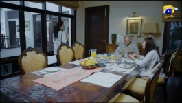 Zabt - Episode 17 - 17th June 2026